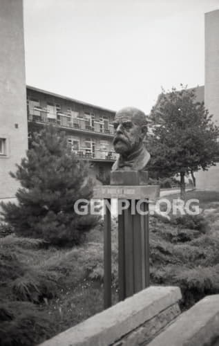 Dr. Robert Koch - Bust.
