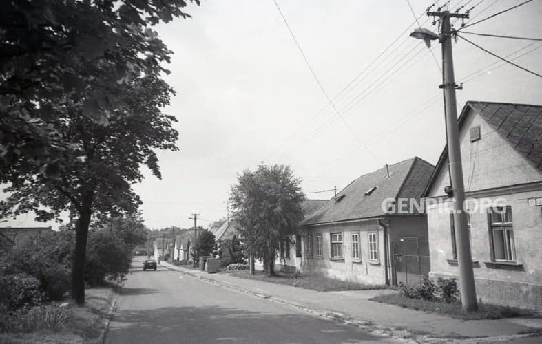 Street - Typical houses.