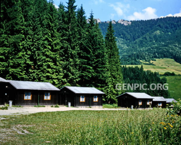 Log Cabins in the settlement Stefanova.