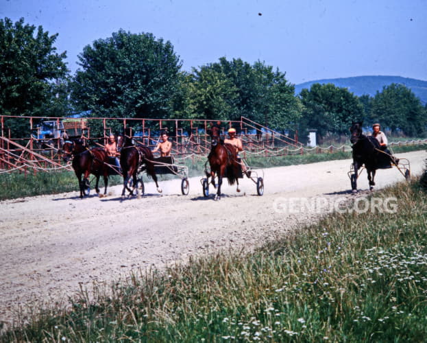 Training of racehorses.
