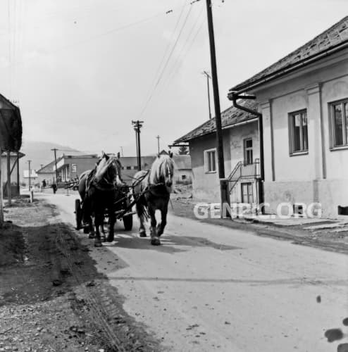Street - Horse cart.