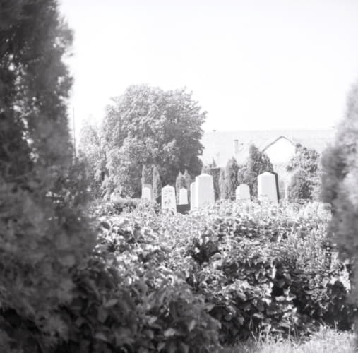 Evangelical cemetery.