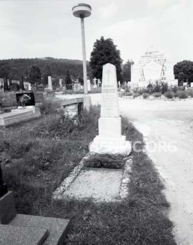 Grave of Dusan Samuel Jurkovic.